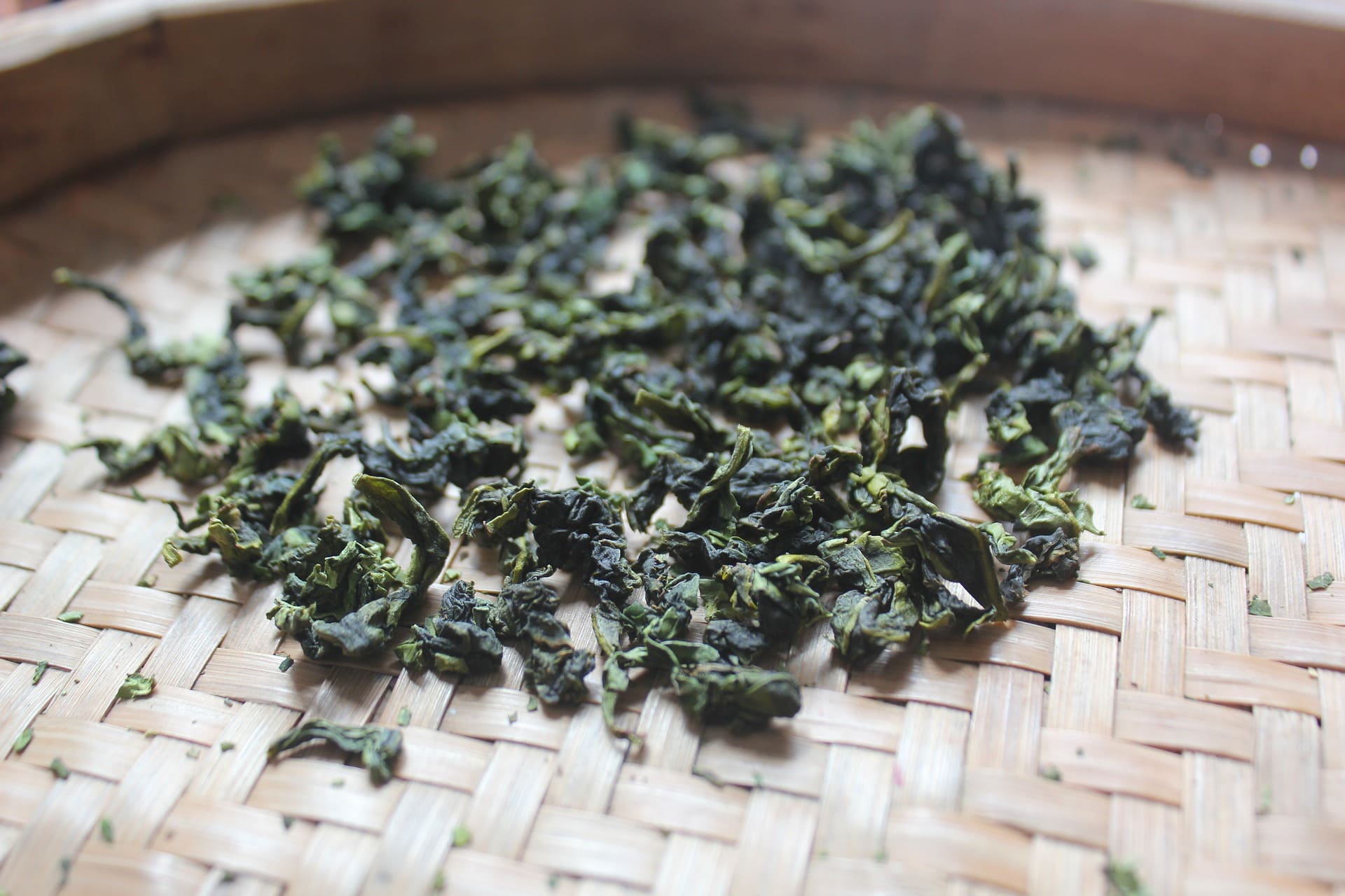 Th oolong, origines et vertus - Panda Tea