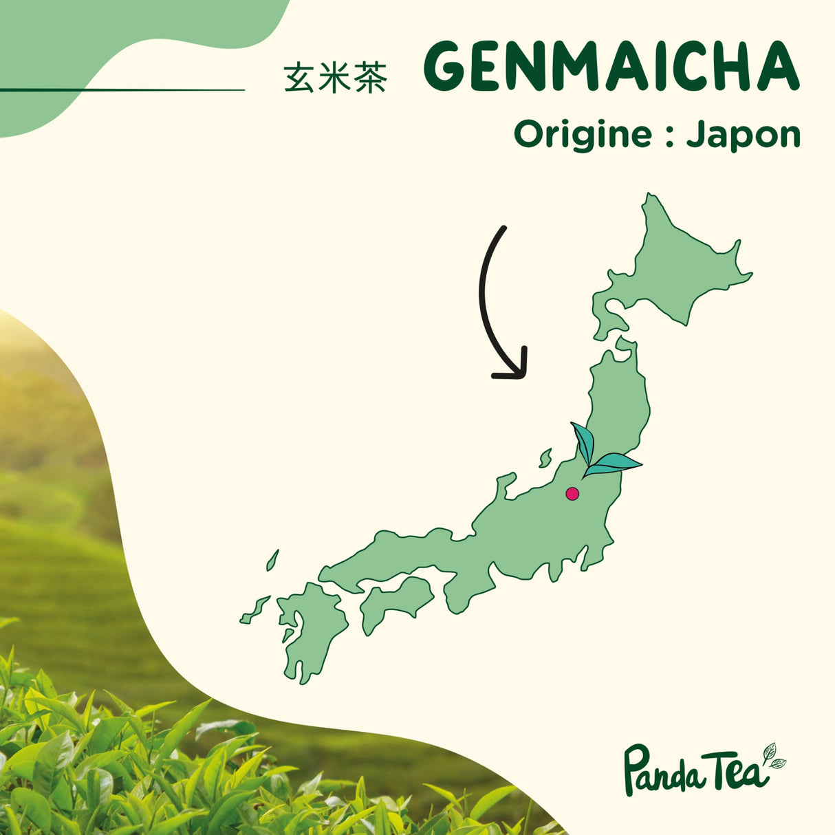 Genmaicha Bio & Boîte Washi n°1