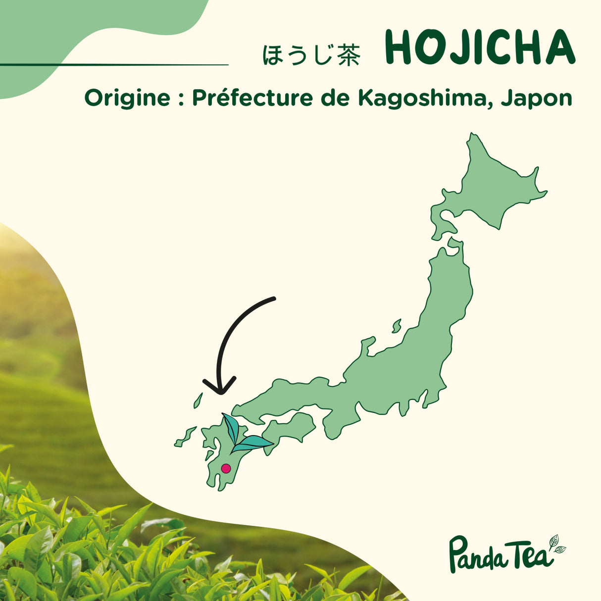 Hojicha Bio