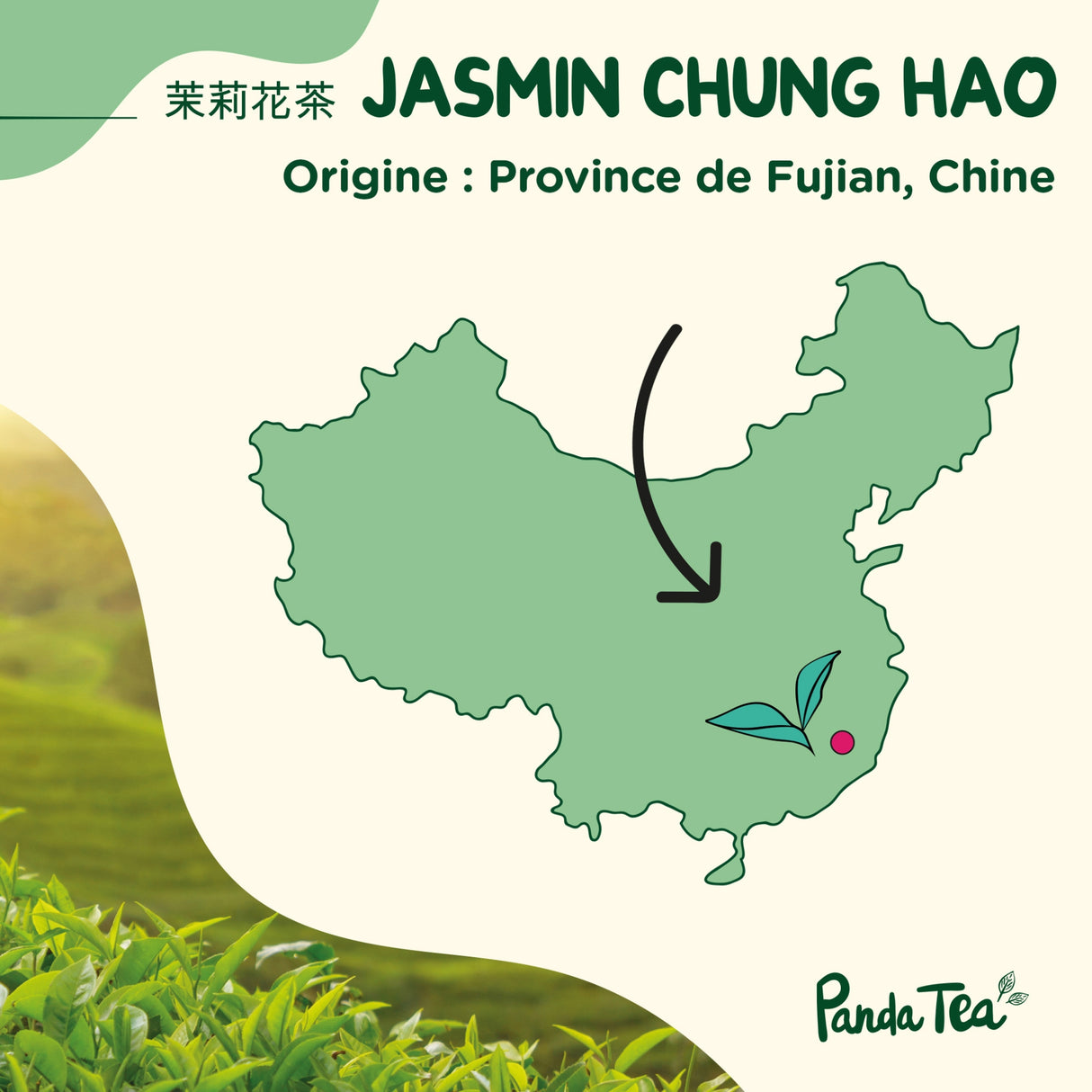 Jasmin Chung Hao Bio & Boîte Washi n°2