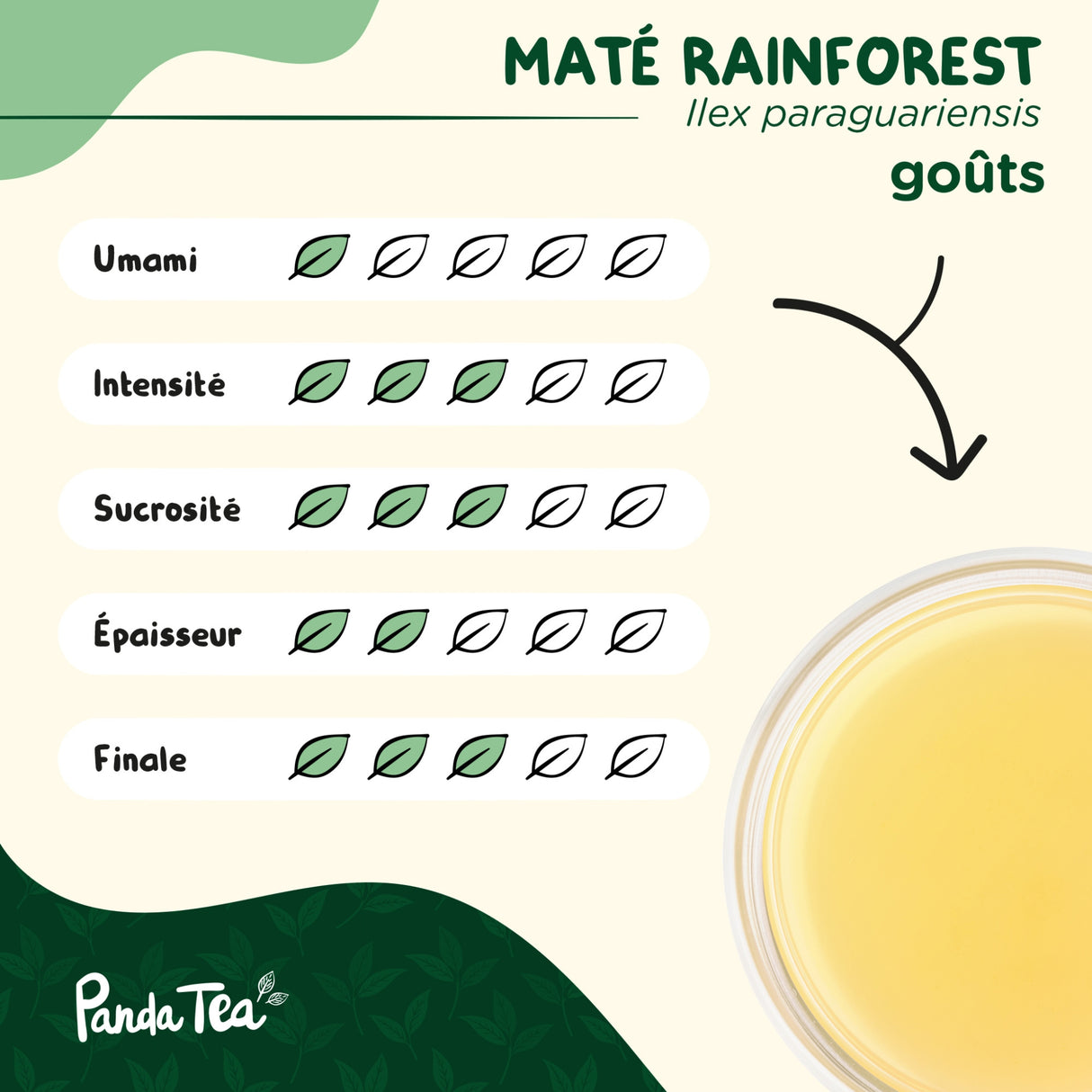 Maté Rainforest Bio