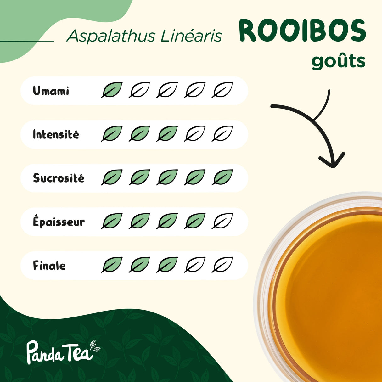 Rooibos Bio