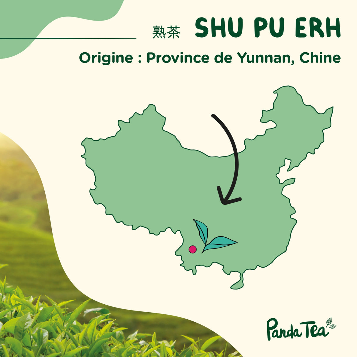 Shu Pu Erh Bio