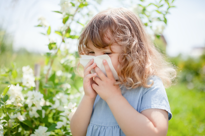 Les remèdes naturels contre les allergies