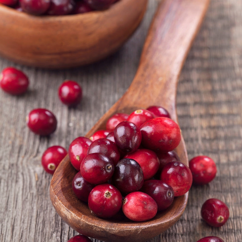 Les bienfaits du cranberry pour la santé