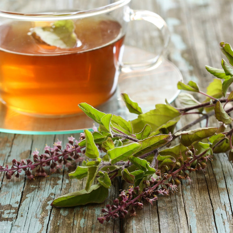 Les vertus étonnantes du tulsi (basilic sacré) et ses contre-indications