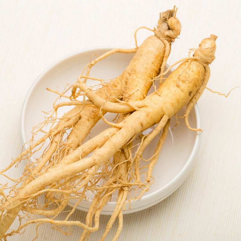 Le pouvoir du ginseng, plante adaptogène aux nombreux bienfaits