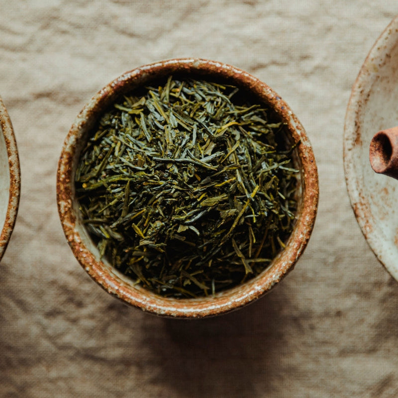 Sencha : le délicieux thé vert japonais