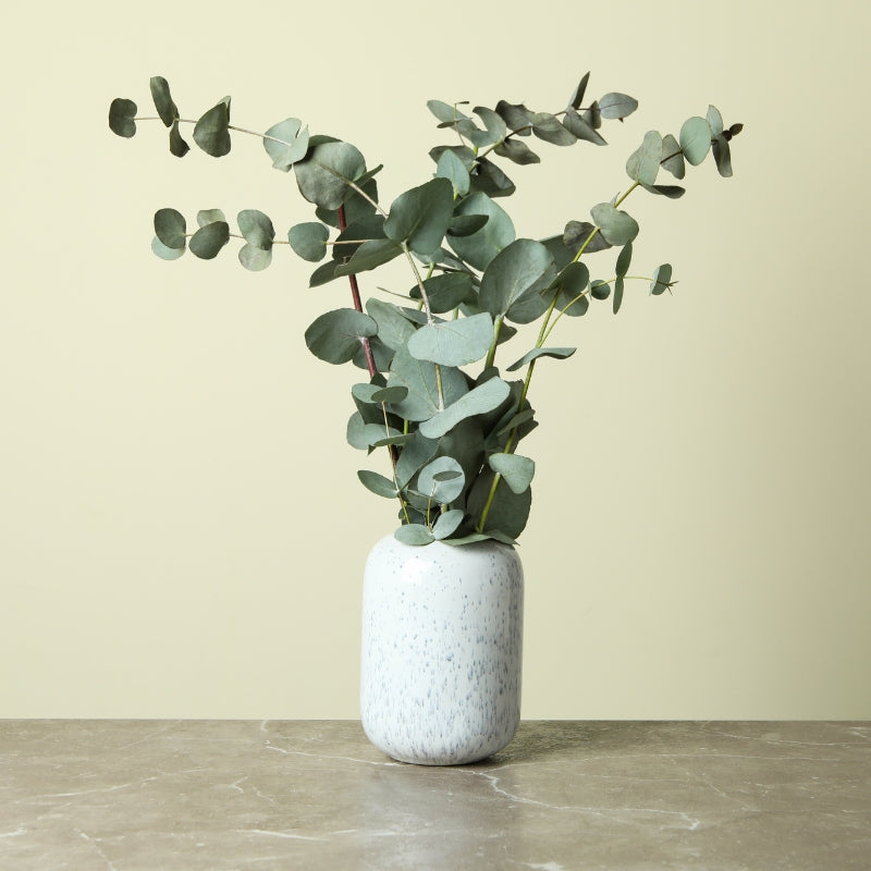 Quels sont les vertus et bienfaits de l’eucalyptus ?