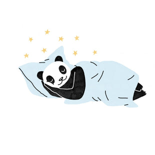PANDASCOPE : votre horoscope de décembre 2023