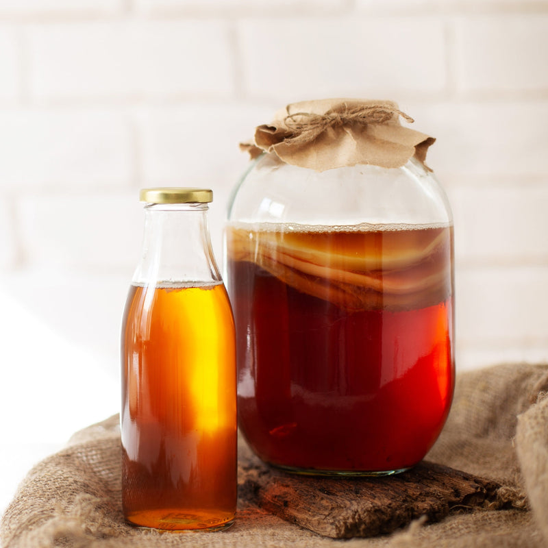 Le kombucha : origine et bienfaits pour la santé
