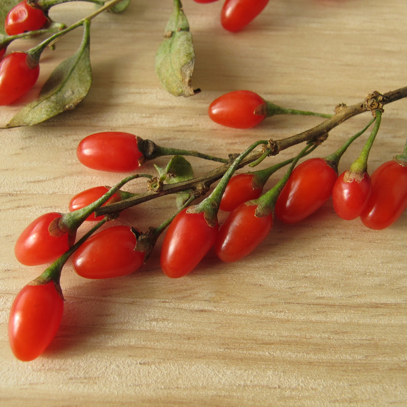 Quelles sont les vertus des baies de goji ?