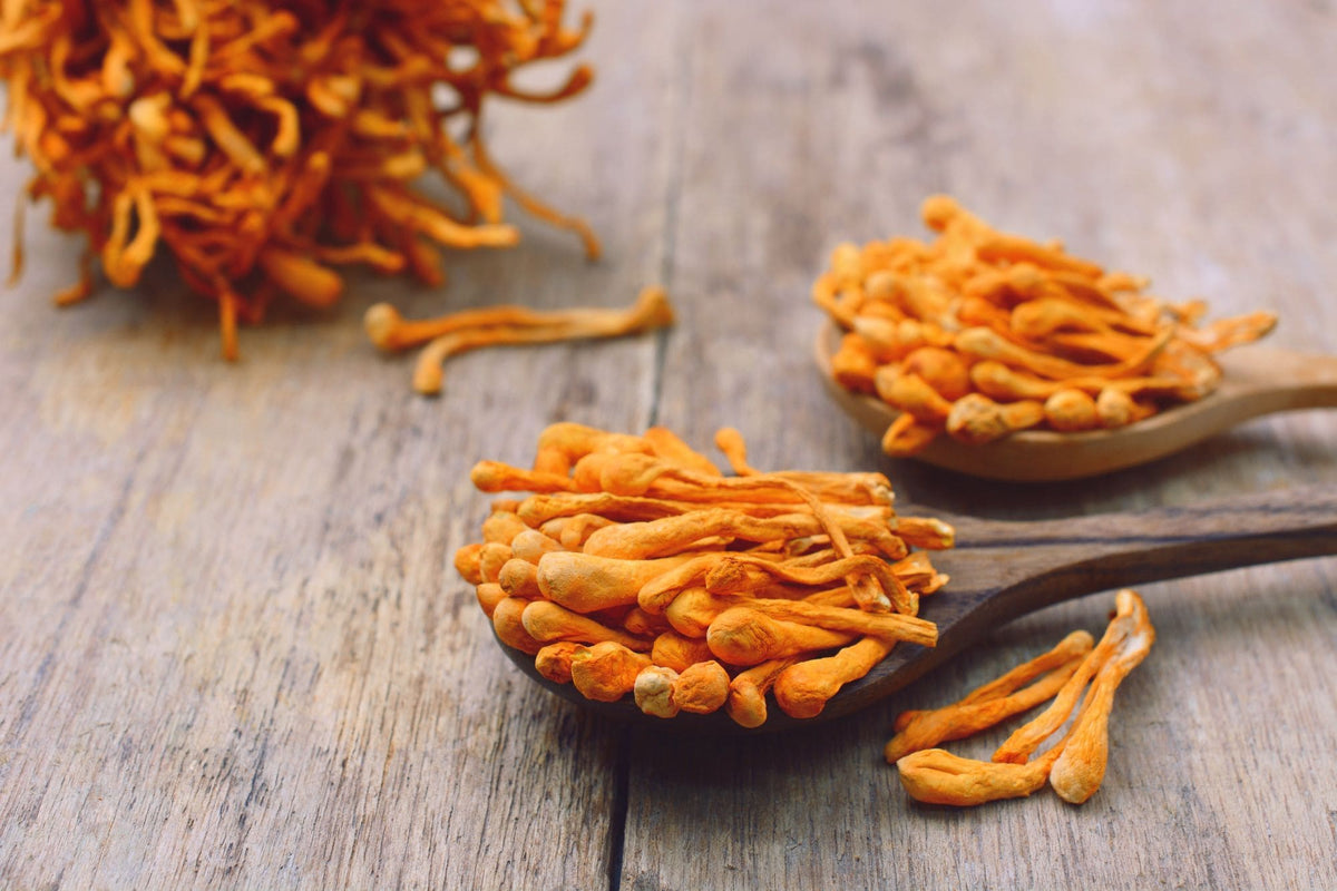 articles/bienfaits-cordyceps_c185283b-6a28-4b44-adab-fd8470286334.jpg