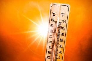 Alerte canicule : bien s'hydrater quand il fait chaud