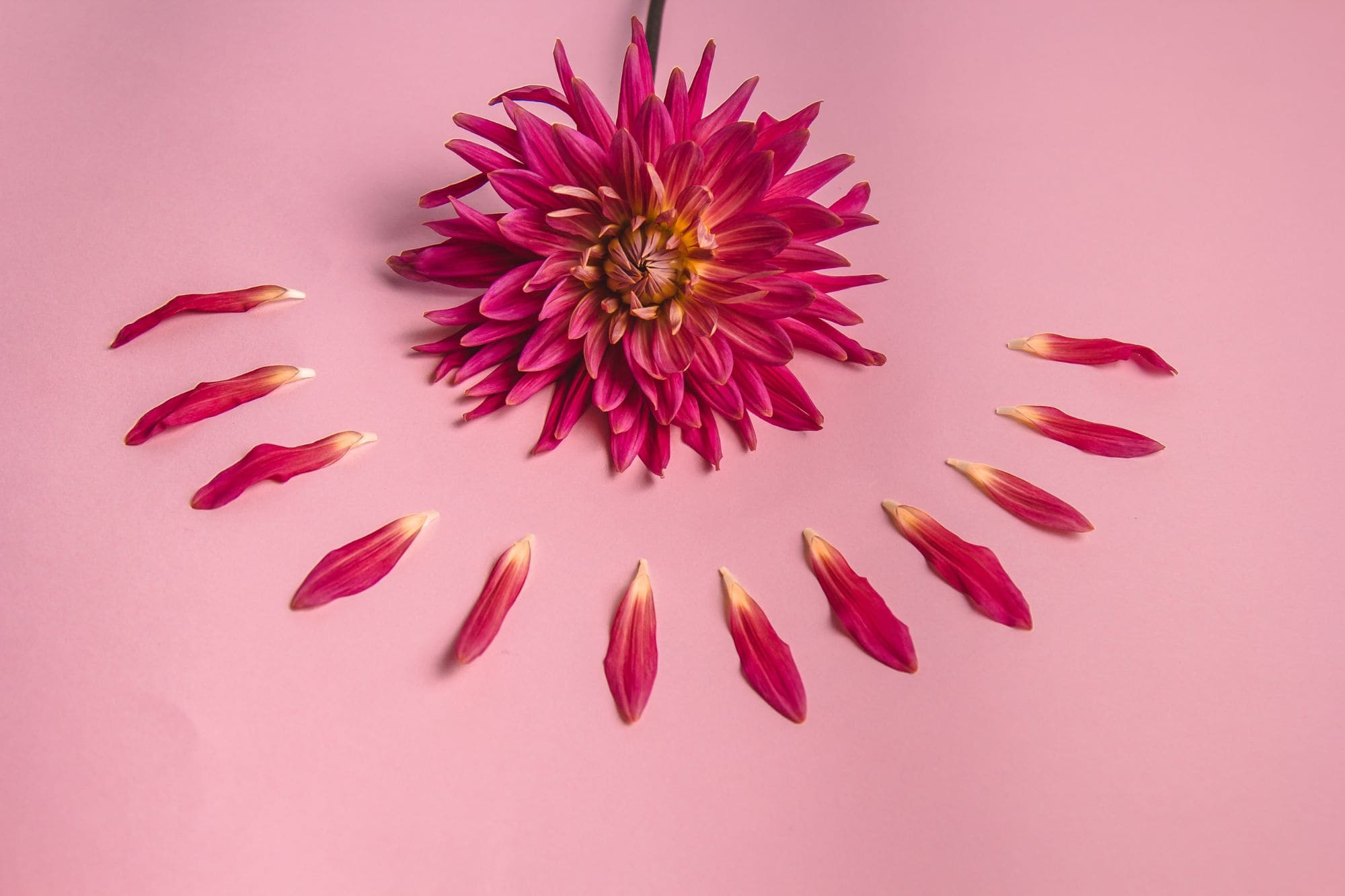 articles/menopause-prise-poids_ffbc1aa0-3e1b-429e-9ee1-8c0e405568fe.jpg