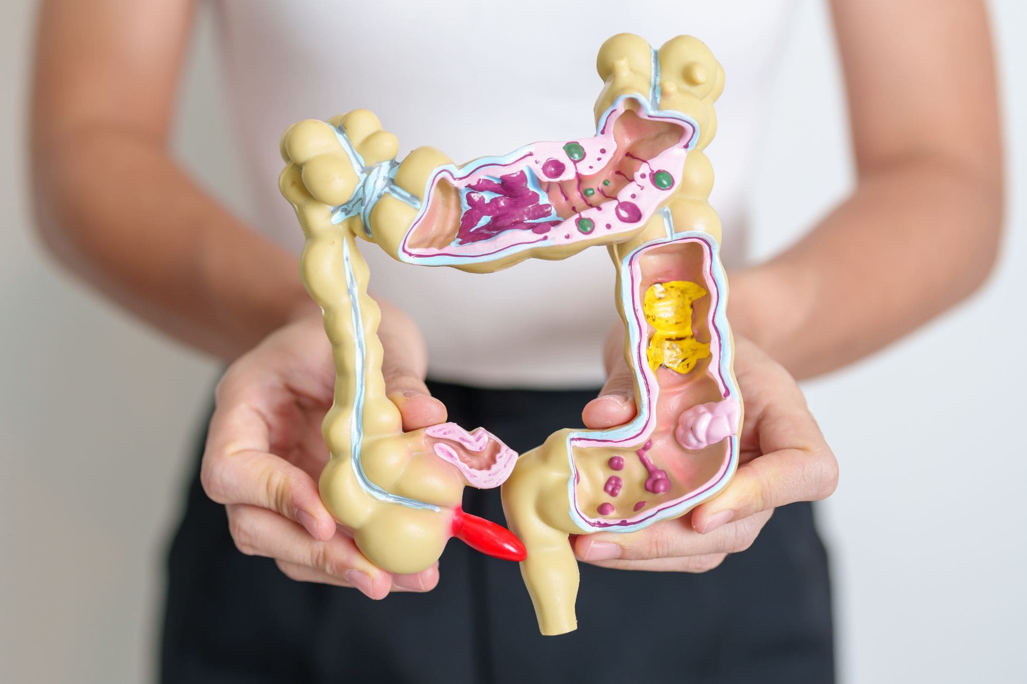 Détox naturelle : comment nettoyer son côlon pour se sentir bien ?