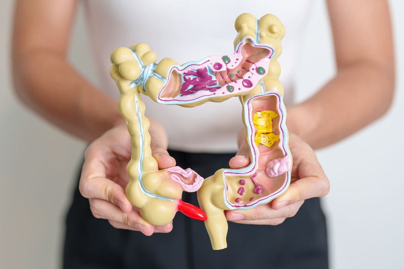 Détox naturelle : comment nettoyer son côlon pour se sentir bien ?
