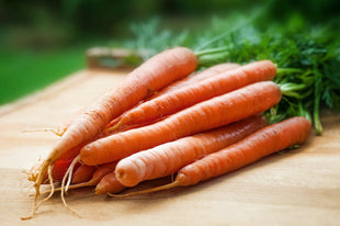 Comment cultiver la carotte ?