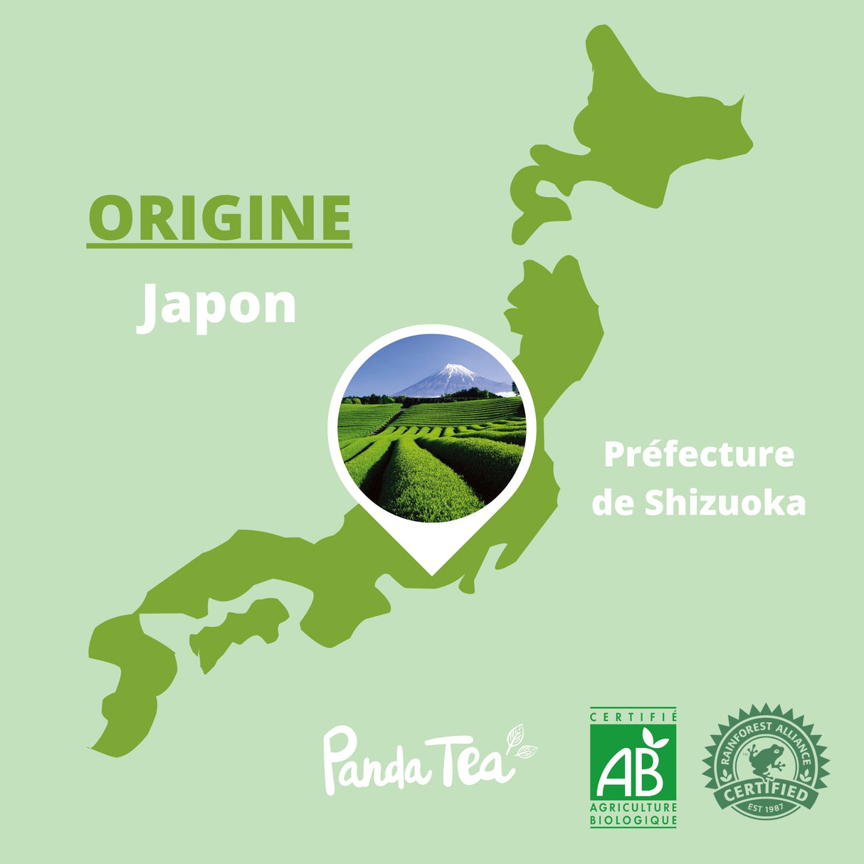 Thé Matcha Cérémonie Bio en Sticks