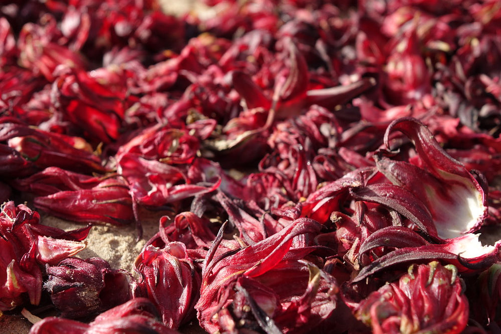 Tisane Fleurs D'Hibiscus Bio - Bissap, Thé Glacé - Infusion Detox