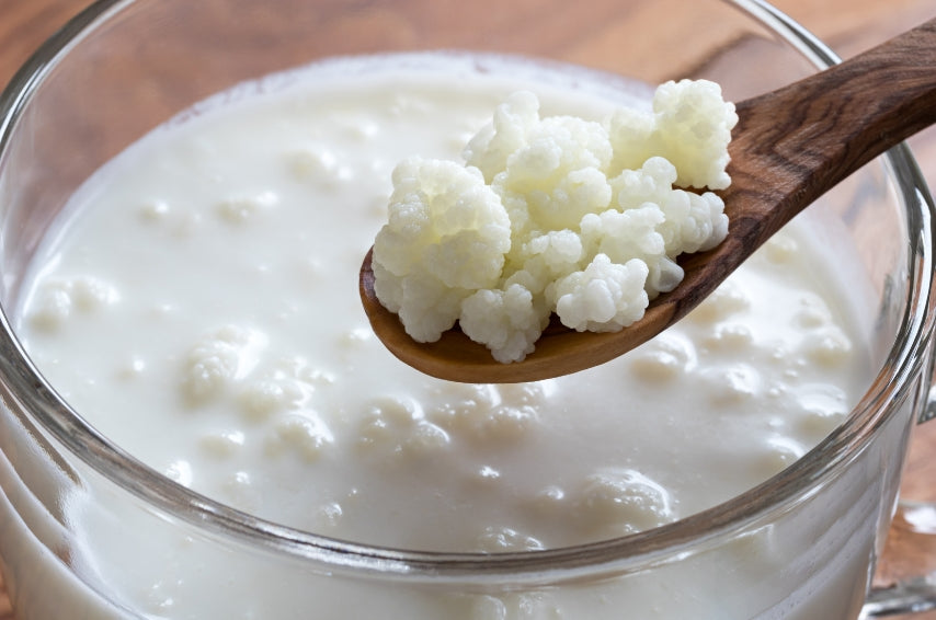 Kéfir de lait aux fruits rouges maison