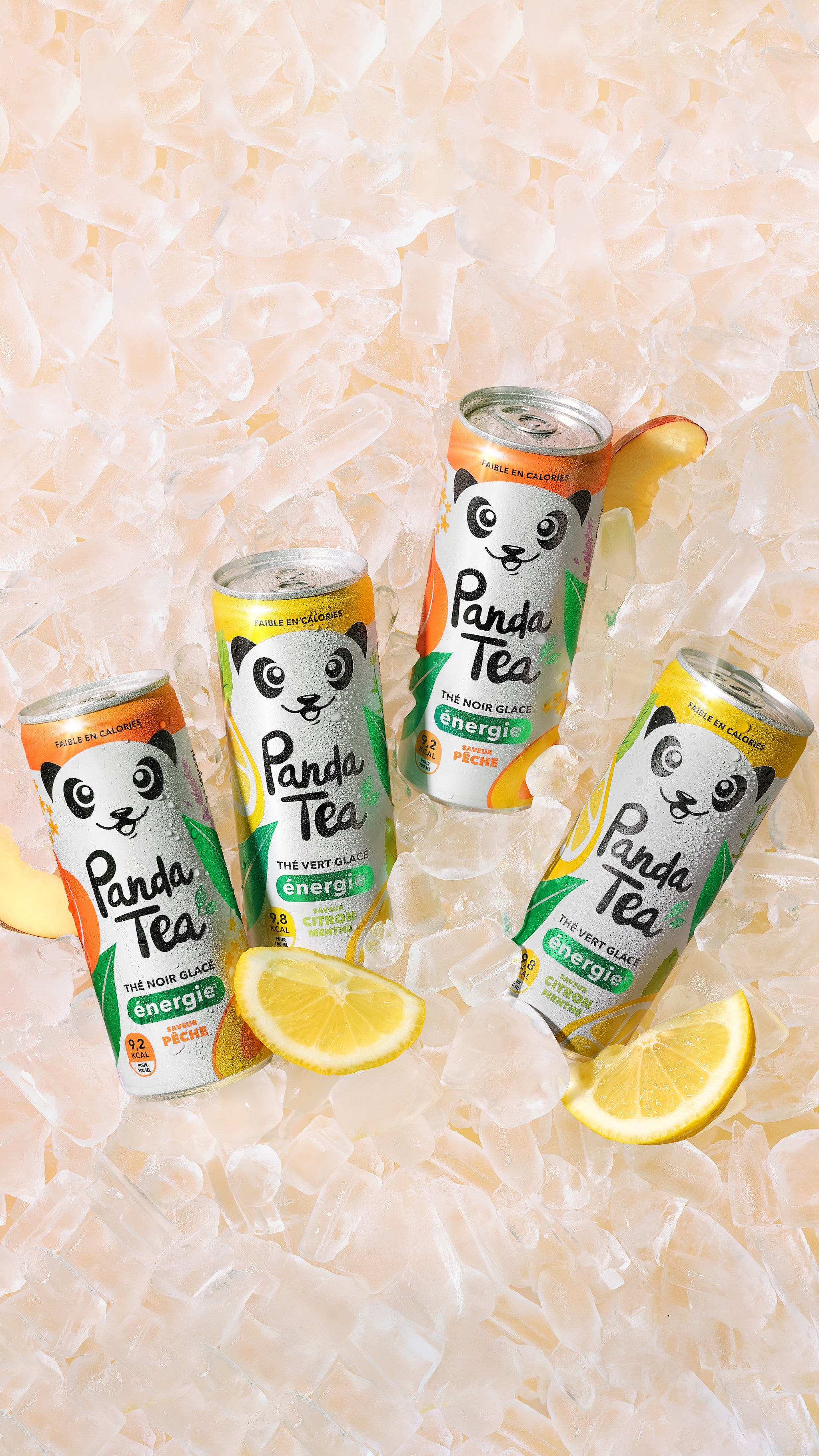 Thés & Infusions glacées
