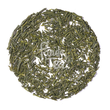Sencha Haruno Bio /