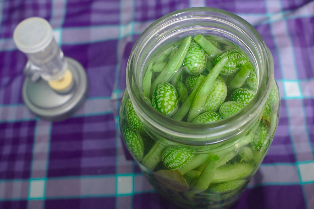 Choisir son matériel à lacto-fermentation