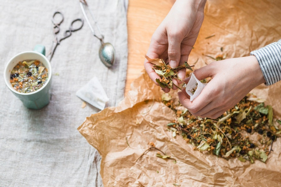 Quand cueillir le tilleul pour faire de la tisane ? - Panda Tea