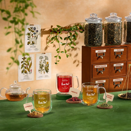 Best Sellers / Pack Digestion