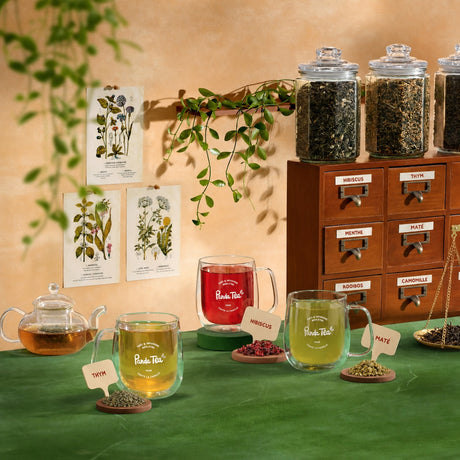Best Sellers / Pack Énergie & Vitalité