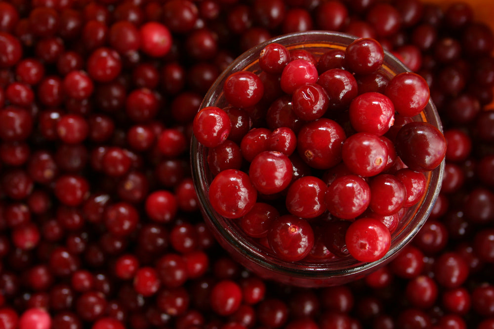 La canneberge ou cranberry, contre les infections urinaires, bienfaits,  vertus et atouts santé